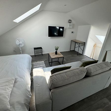 Studio Eucalyptus Charmant Elegant Et Fonctionnel Centre Ville Mulhouse Bagian luar foto
