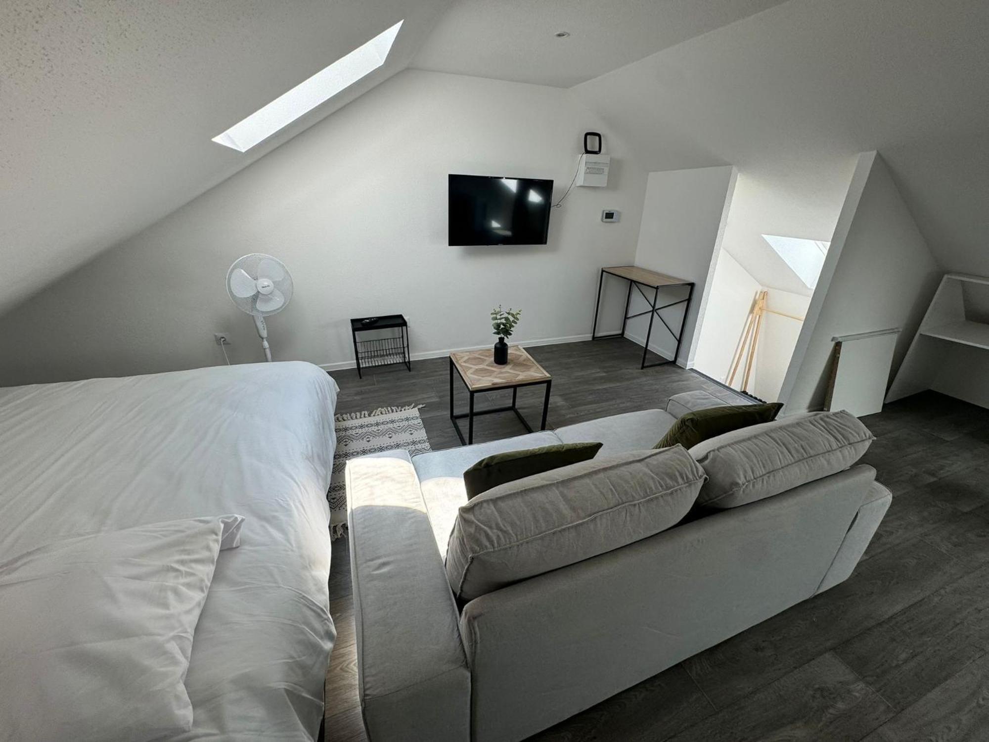 Studio Eucalyptus Charmant Elegant Et Fonctionnel Centre Ville Mulhouse Bagian luar foto