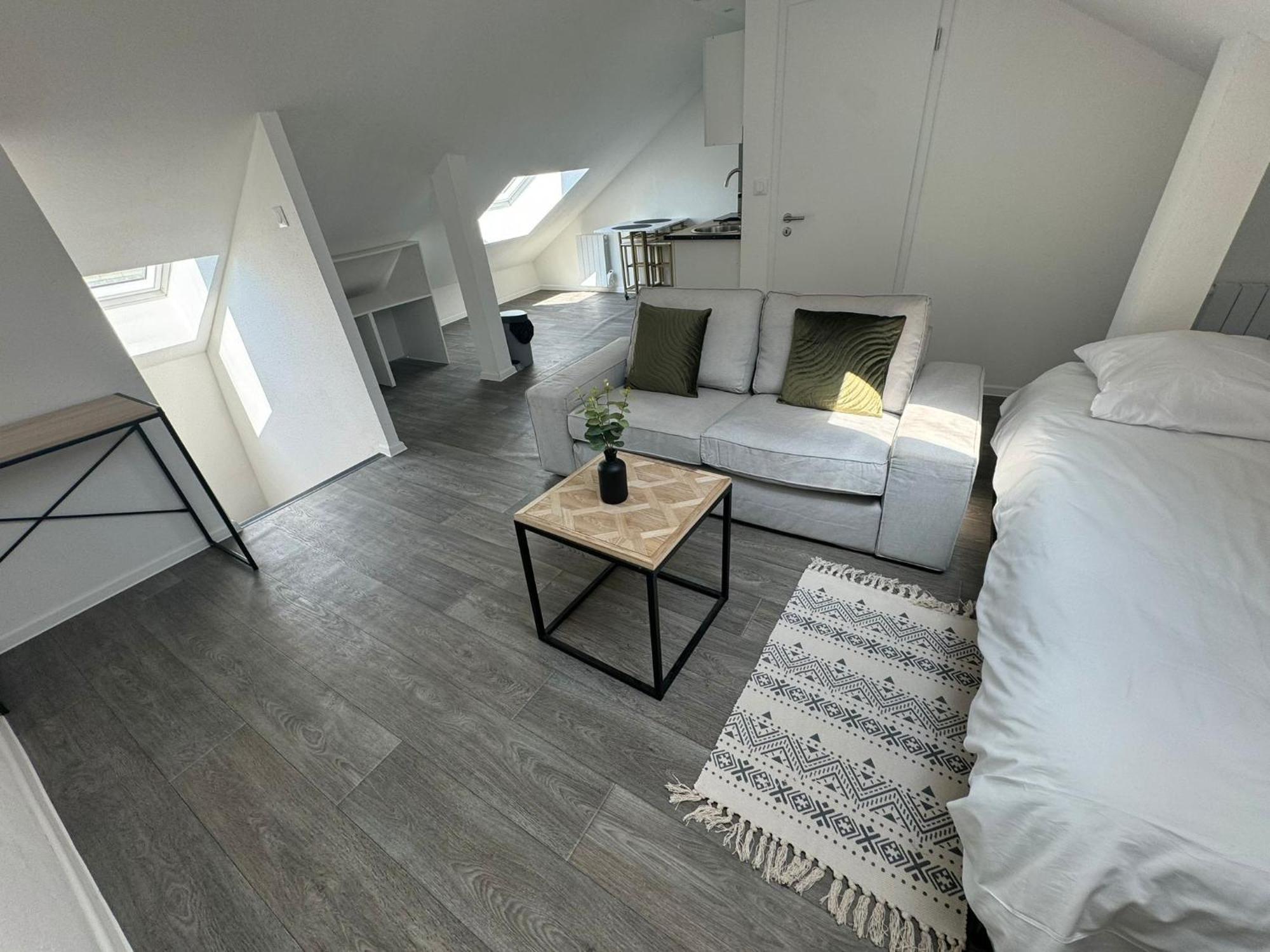 Studio Eucalyptus Charmant Elegant Et Fonctionnel Centre Ville Mulhouse Bagian luar foto