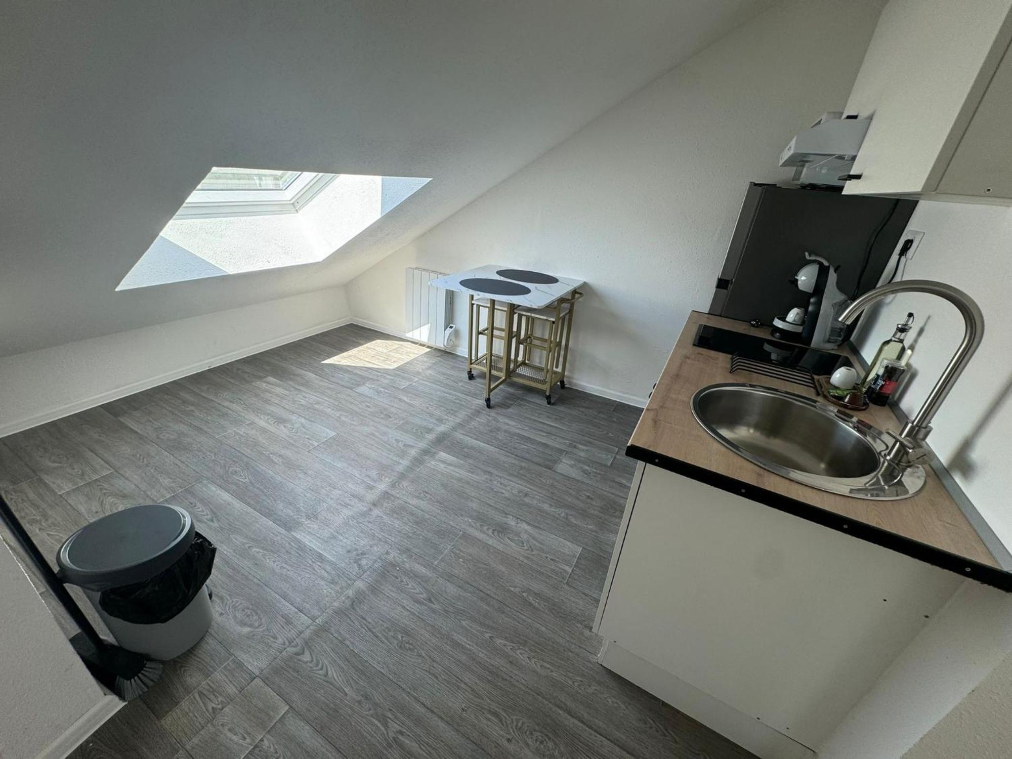 Studio Eucalyptus Charmant Elegant Et Fonctionnel Centre Ville Mulhouse Bagian luar foto